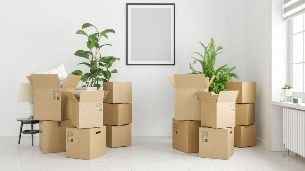13+ советов по переезду в квартиру — переезд без стресса